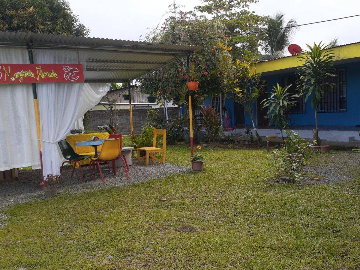 Rooms Palmeras Cahuita Exteriör bild