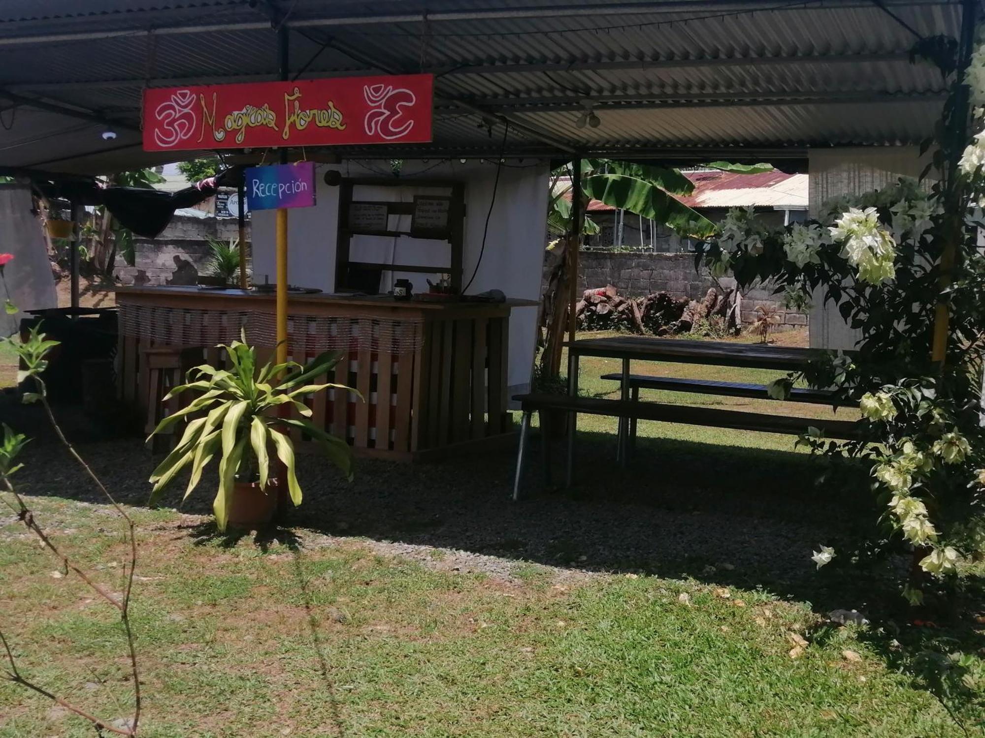 Rooms Palmeras Cahuita Exteriör bild